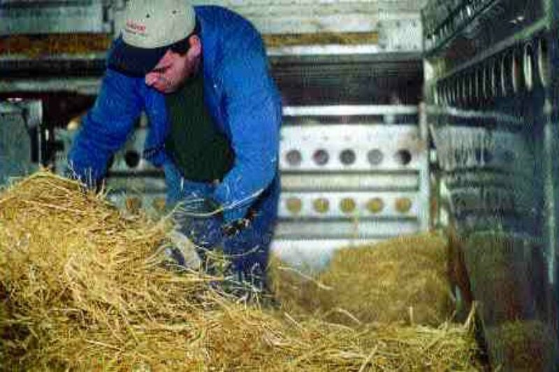 (Photo by James Menzies)