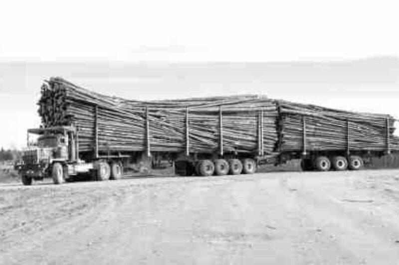 Aggressive handling article image