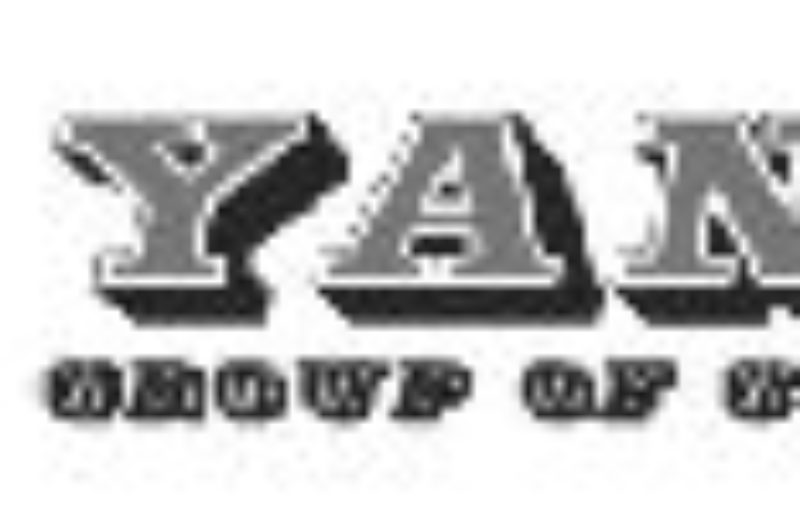 Yankee adds 53-ft., high-cube cans article image