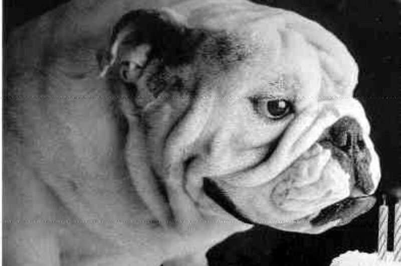 ONE MORE TIME: Eight in a row.