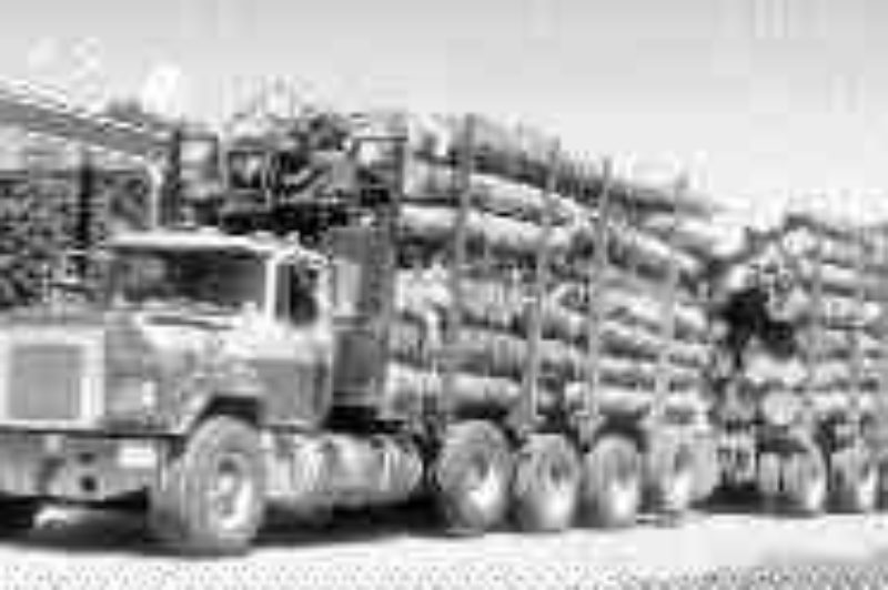 LOG LOOK: The town was told.