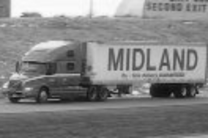 N.B. predicts very weak potato crop article image