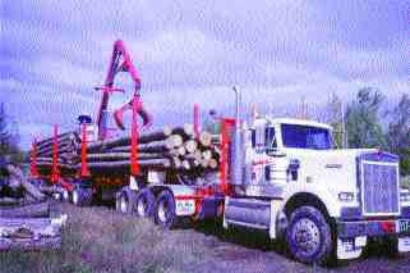 TAKE A LOAD OFF: Amlin says tridem drives offer a safer ride through stability.