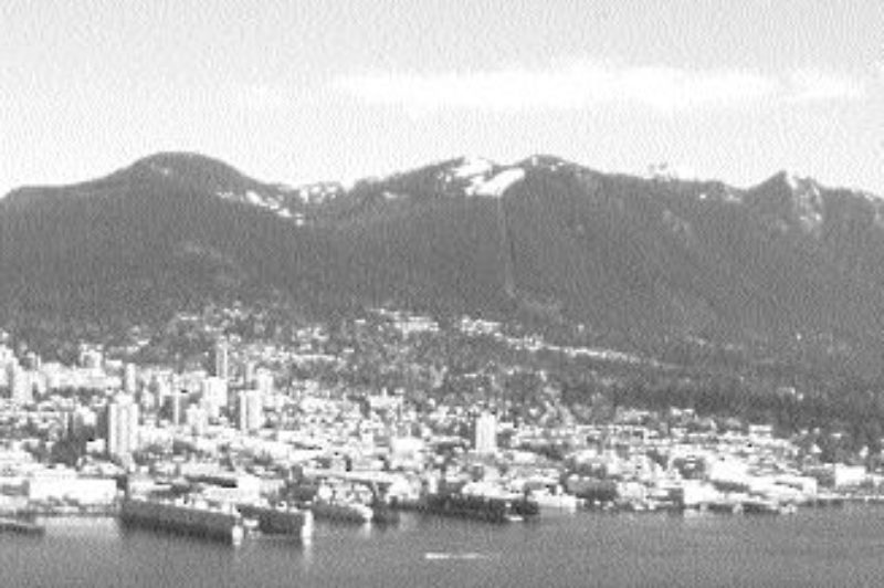 HERE TO STAY?: The VPAs is anxiously waiting to hear what is in store.