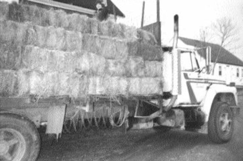 NEW DIRECTION: Farmers make great prospective truckers because many have experience driving heavy equipment.