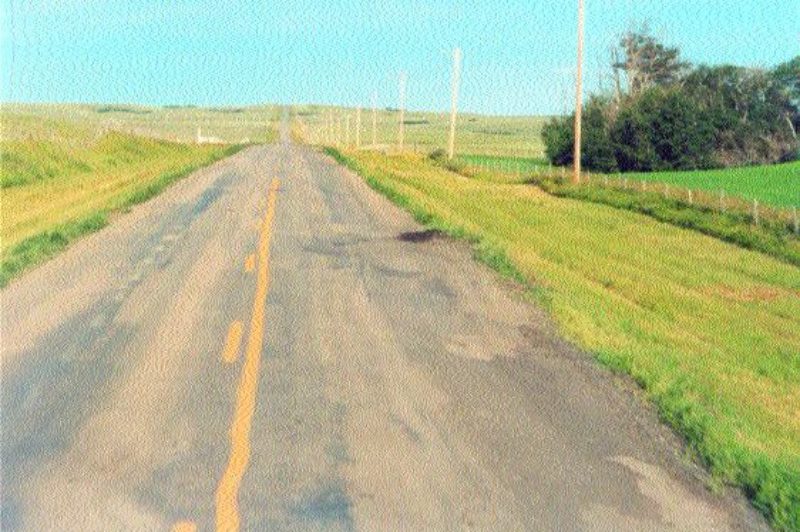 RISKY BUSINESS: Whitney says the government has misused fuel tax revenue and poor roads are costing him - and other truckers - money for truck repairs.