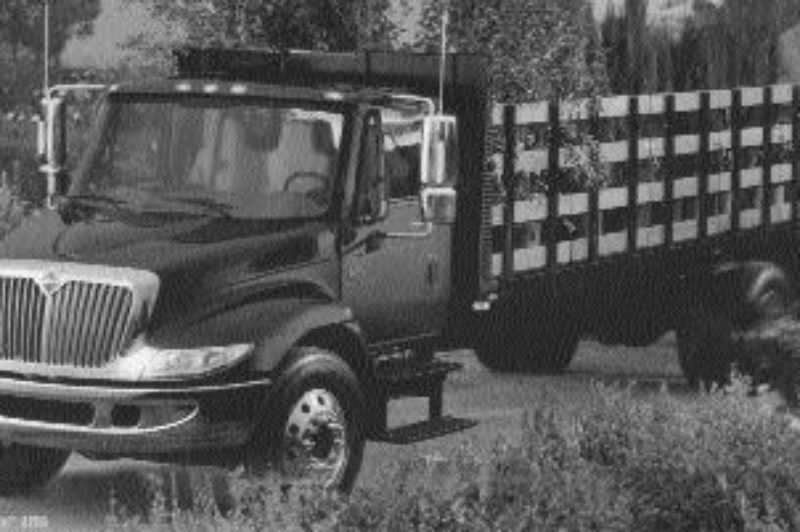 LIGHT OR MEDIUM?: Truck manufacturers have found a flourishing niche market with landscapers and growers.