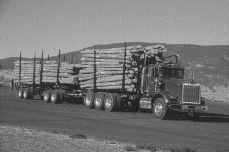 TRIPLE THREAT: FERIC is hoping to get tri-drives like this one approved in Eastern Canada. The association is busy with many other projects as well.