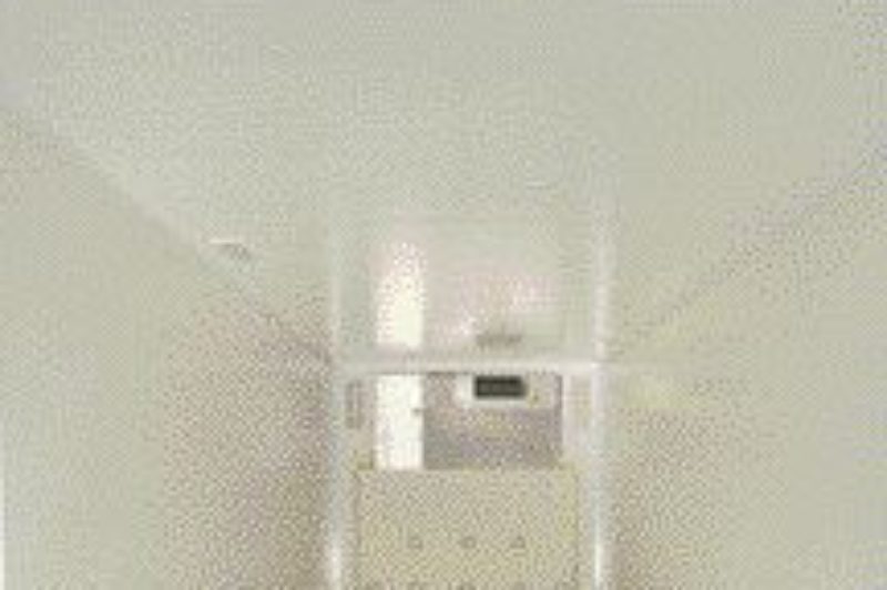 CHILLED: Great Dane's latest introduction is a trailer interior with an impermeable skin designed to reduce the outgassing effect.