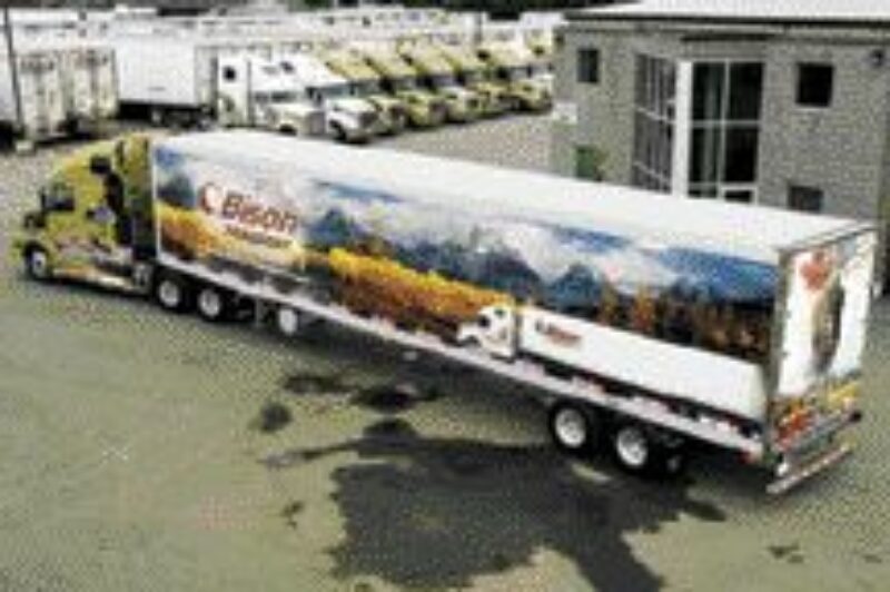 CHAMP: Bison's winning graphic.