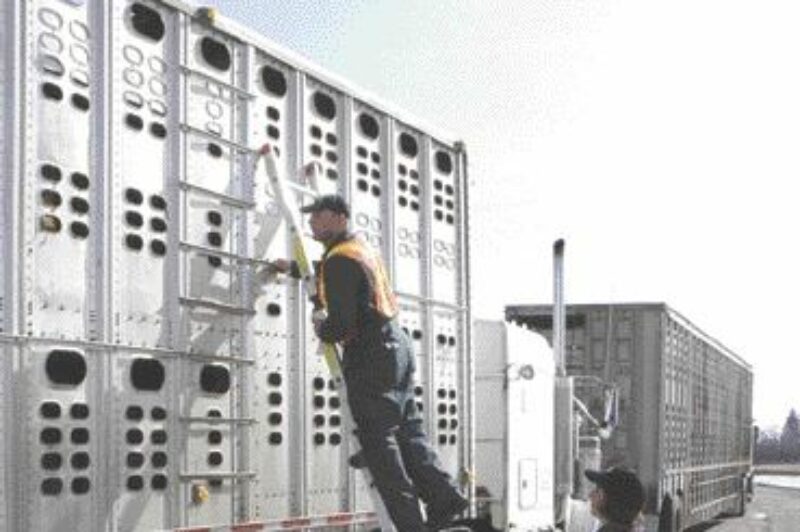 OPEN FOR BUSINESS: FDA clearance is now available Sunday.