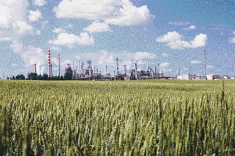 PRAIRIE GOLD: Petro-Canada has invested about $1.25 billion in its Western Canadian operations to accommodate production of Ultra Low-Sulfur Diesel, much of which will be produced here at its Edmonton refinery.