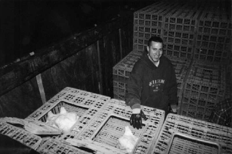 HANDLED WITH CARE: Experts say that because the North American industry is so integrated, the odds of the avian flu being spread through transportation are slim, with migratory fowl posing a much larger threat.