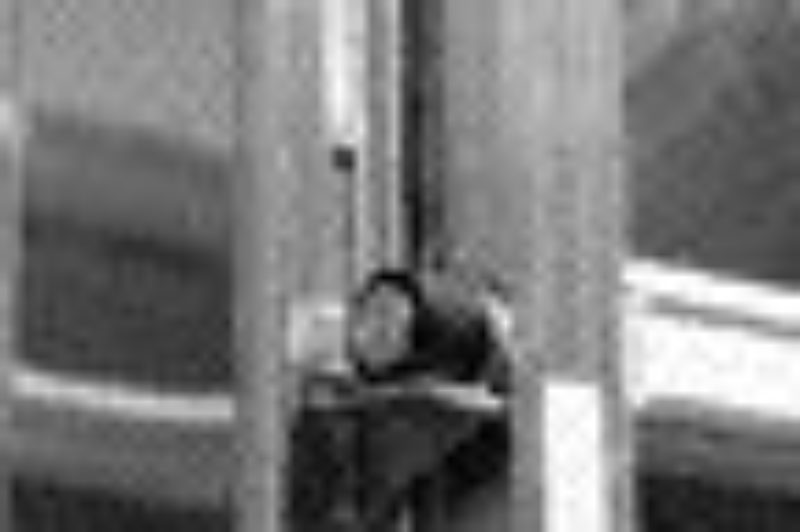 Sideswing Tailgate Ramp Guide