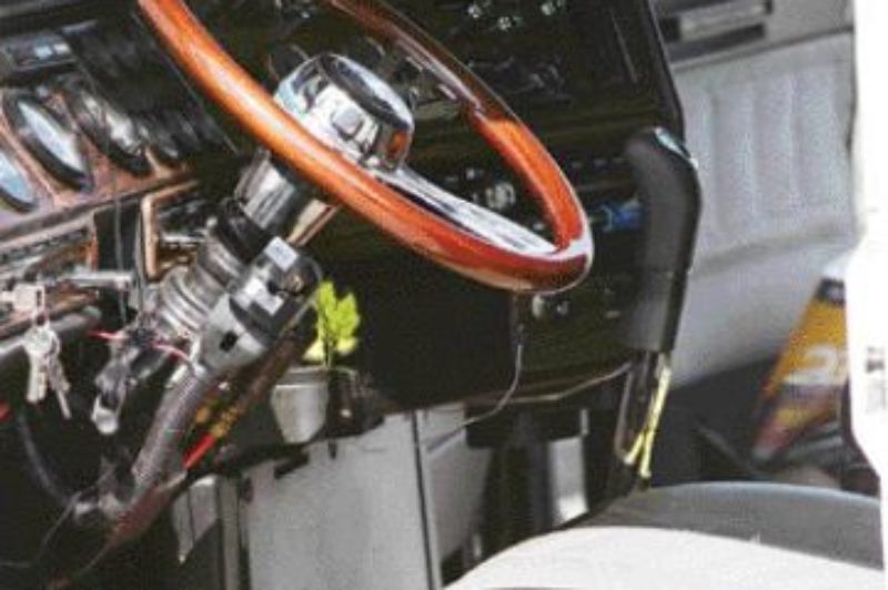 Gone campin' article image