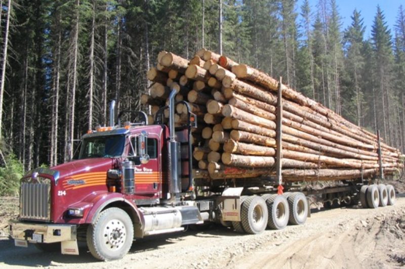 Pineview's Kenworth tri-drives allow the company to extend the log hauling season in B.C.