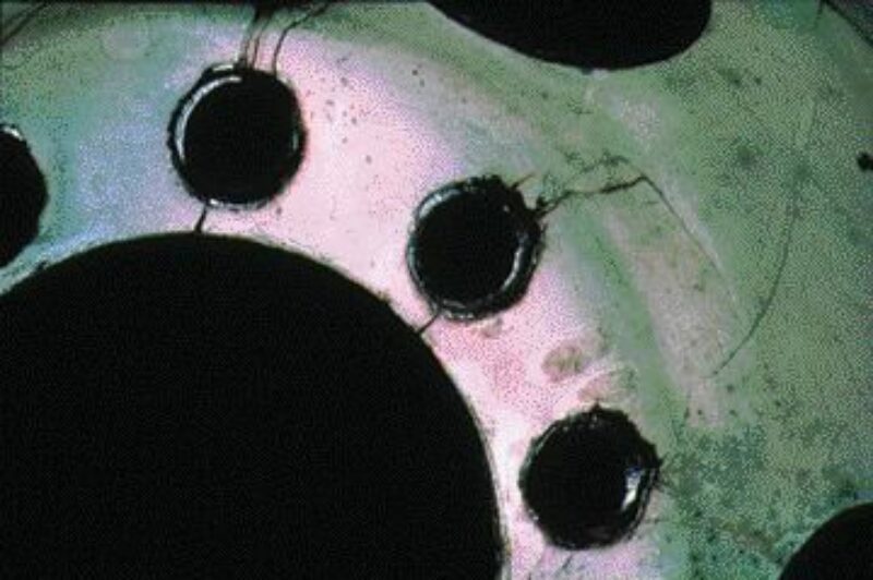 Keep your wheels on: Wheel tightening can be trickier than you think article image