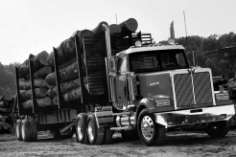 LEVEL PLAYING FIELD: Drivers of all stripes will get good fuel mileage thanks to a Canadian device that only allows them to use the horsepower they really need for the job, its creators say.