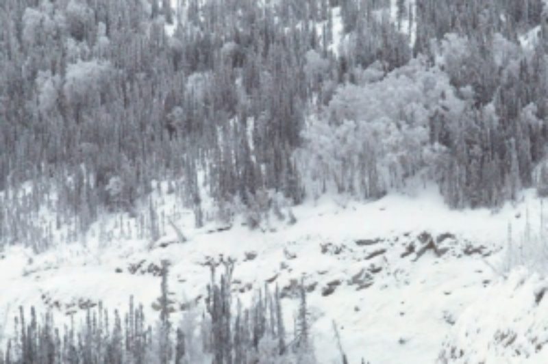 WINTER-WORTHY?: Selecting a proper tire for winter conditions is crucial in Canada, where all forms of weather can be encountered.