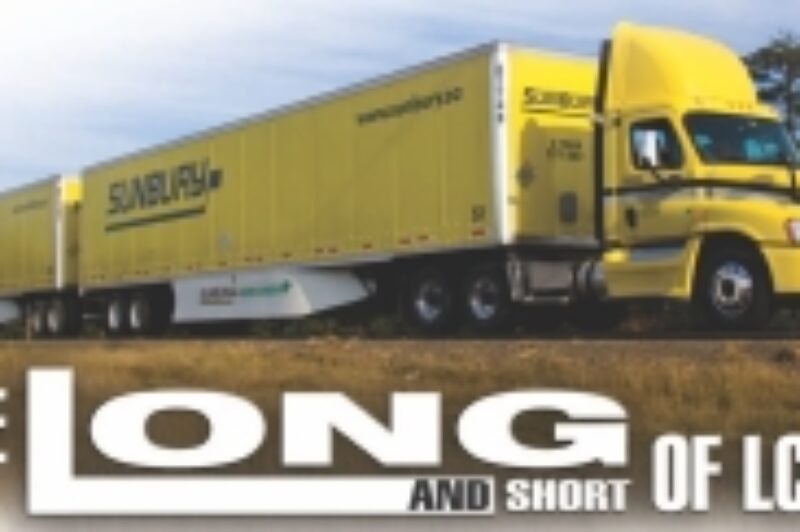 The Long And Short Of LCVs article image