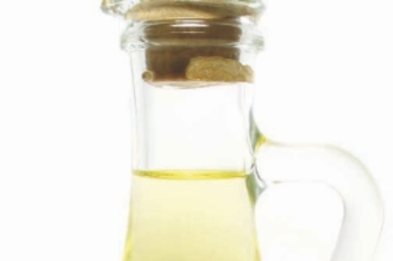 Canadian trucking industry voices concerns over biodiesel mandates article image