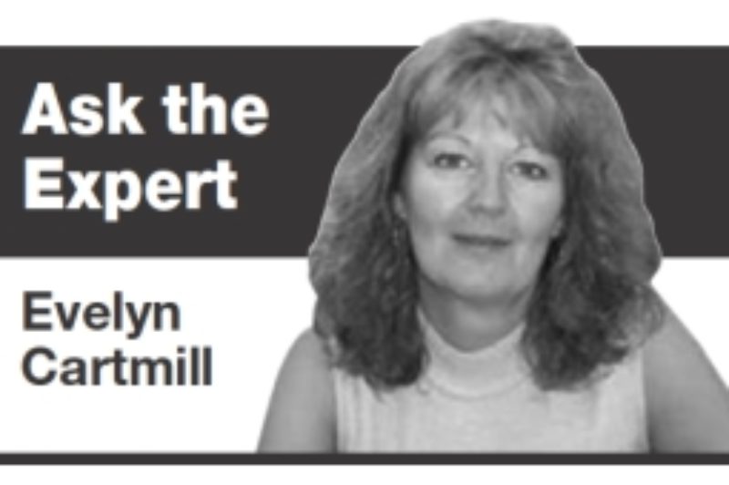 Remember, Drivers Deserve Preventive Maintenance Too article image