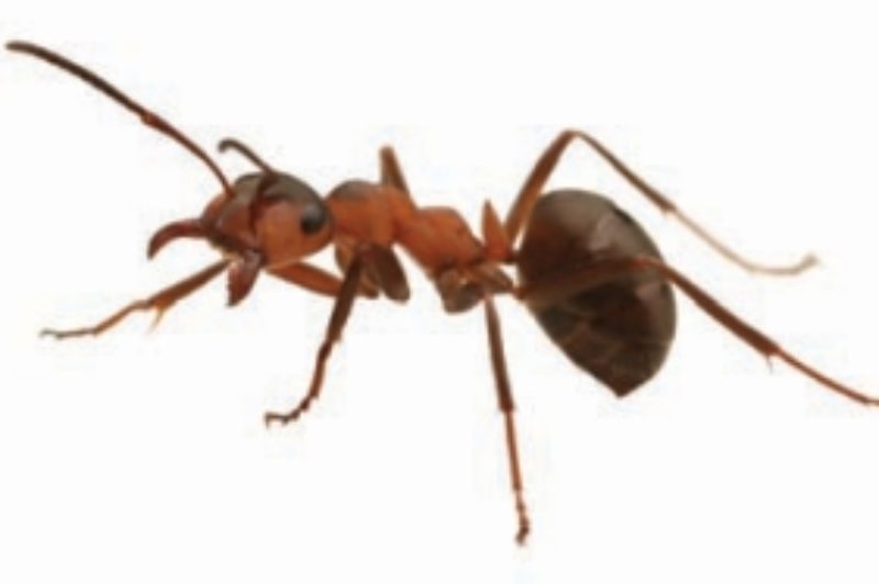 Routing Into The Future article image