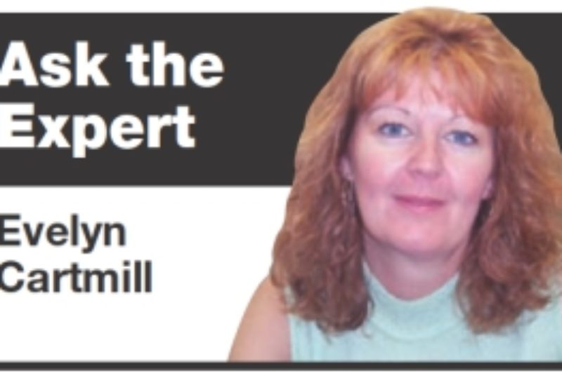 Due diligence begins with the application form article image