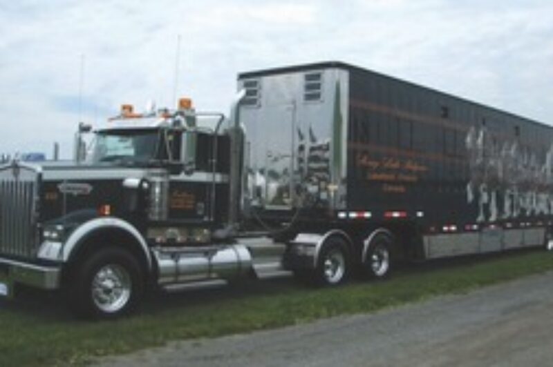 TROTTING OUT THE SHOW TRUCKS: This Kenworth tractor and horse hauler belonging to Stoney Lake Belgians was showcased at the Stirling Truck Show show'n'shine.
