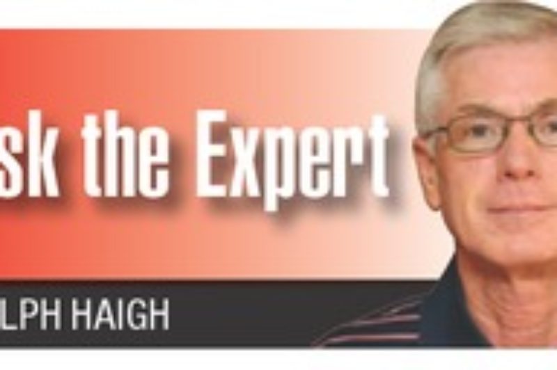 Expect real returns on your targeted training investments article image