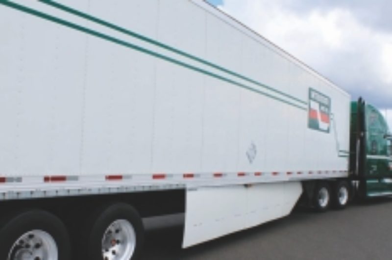 Skirt shopping article image