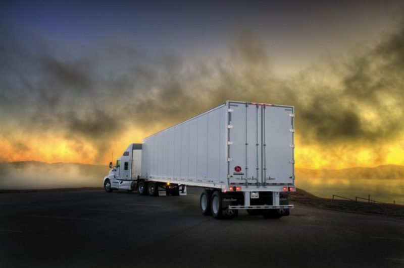 Great Dane Champion model