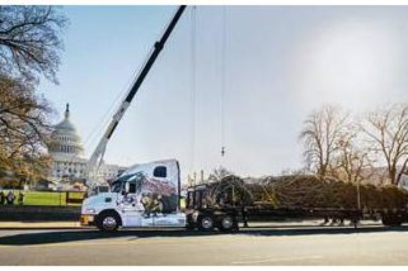 A Mack Pinnacle delivers the 73-foot Christmas tree to the US Capitol after more than 5,300 miles of travel from Colorado's White River National Forest.