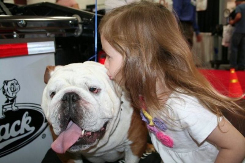 Hank the Tank receives some love at a recent truck show.