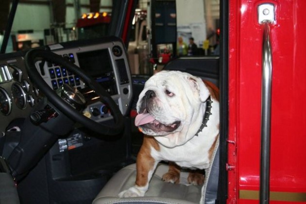 Hank the Tank takes his seat behind the wheel.