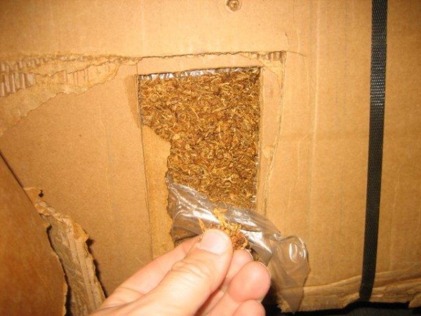 Sample of the loose tobacco.