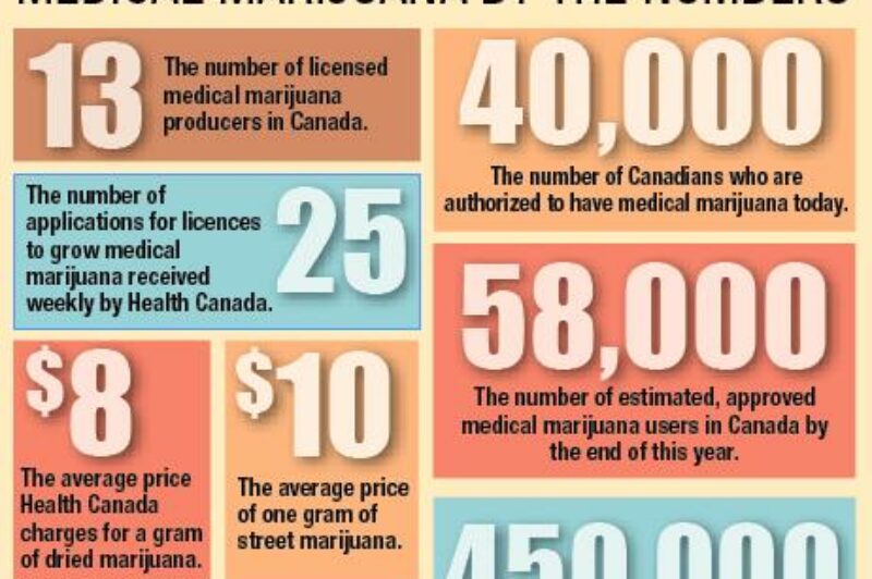 MEDICAL MARIJUANA BY THE NUMBERS article image