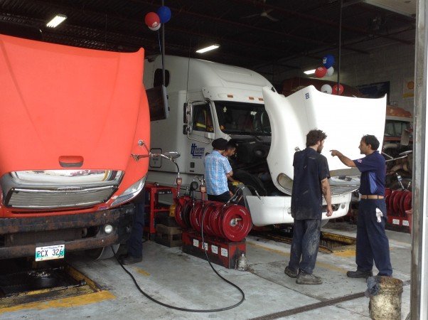 IMG_1373 alternate text for this image