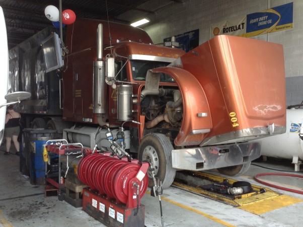 IMG_1374 alternate text for this image