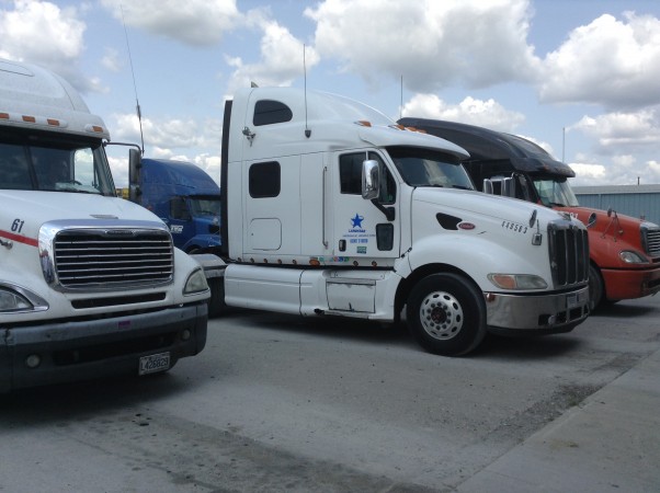 IMG_1377 alternate text for this image