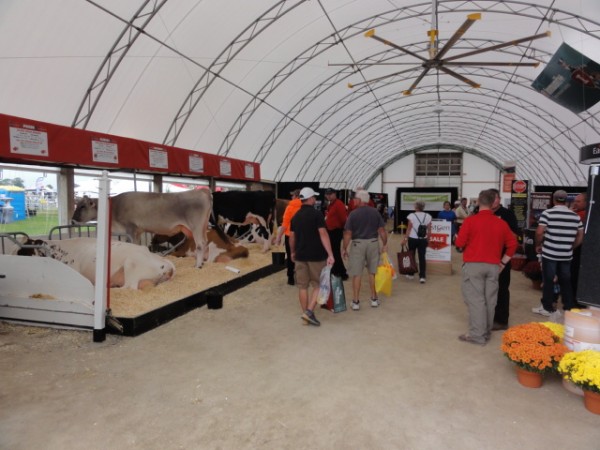 DSC02539 alternate text for this image