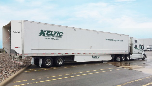 keltic tail alternate text for this image