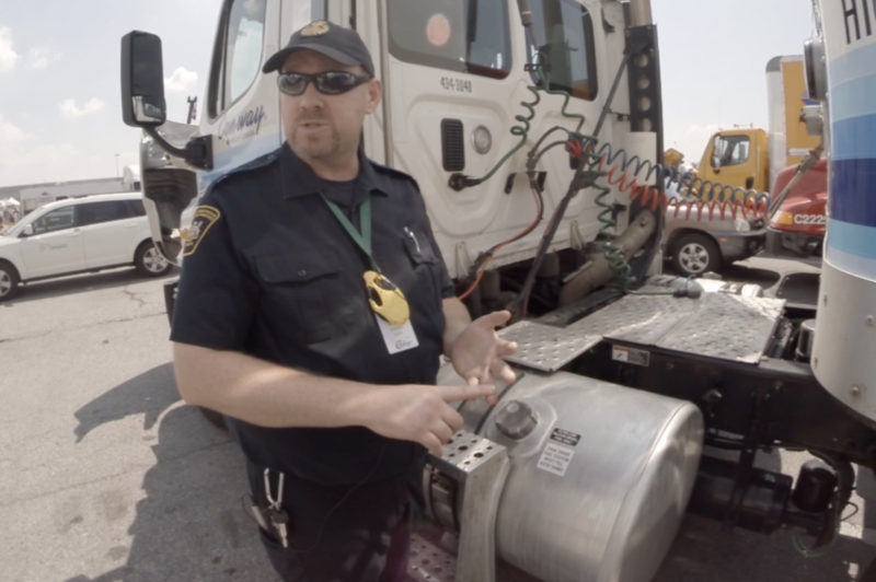 THEY ARE THE CHAMPIONS article image