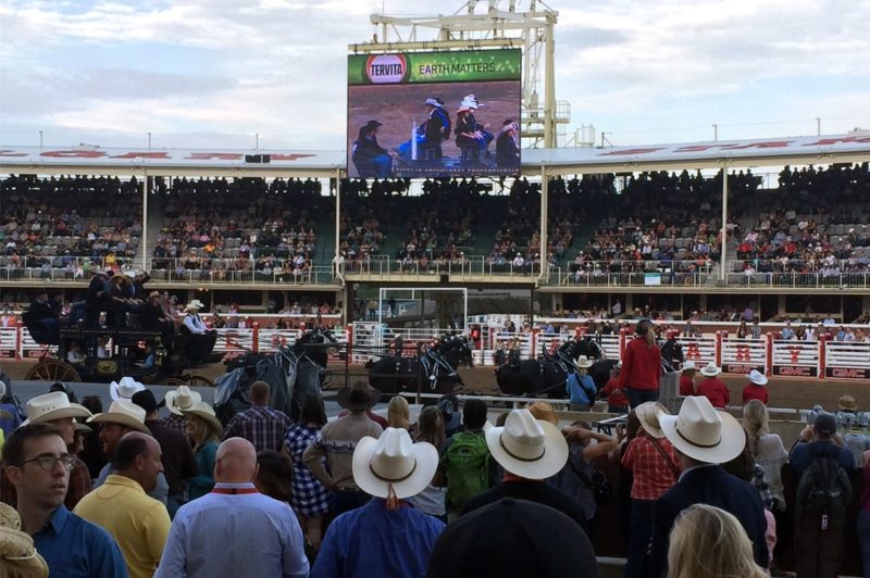 Transcourt Tank Leasing hosts customers at Calgary Stampede article image