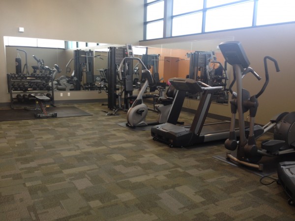 bison 3 alternate text for this image