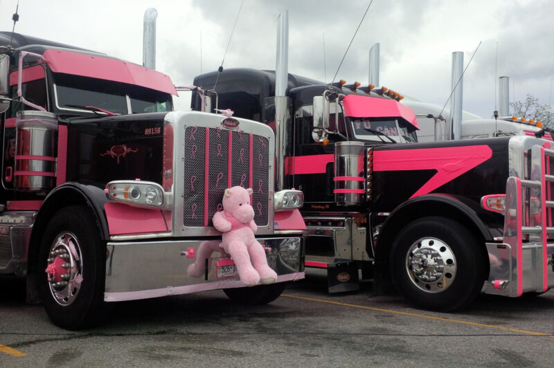 Pink power article image