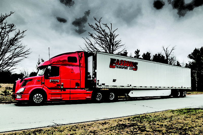 A growing family article image