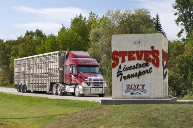 Keeping it clean article image