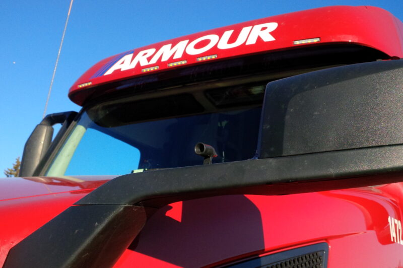 IN NEW BRUNSWICK: MOOSE & DEER & BEARS, OH MY! article image