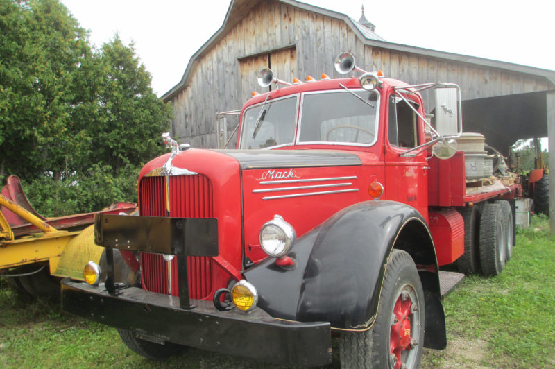 Barn find of a different kind article image